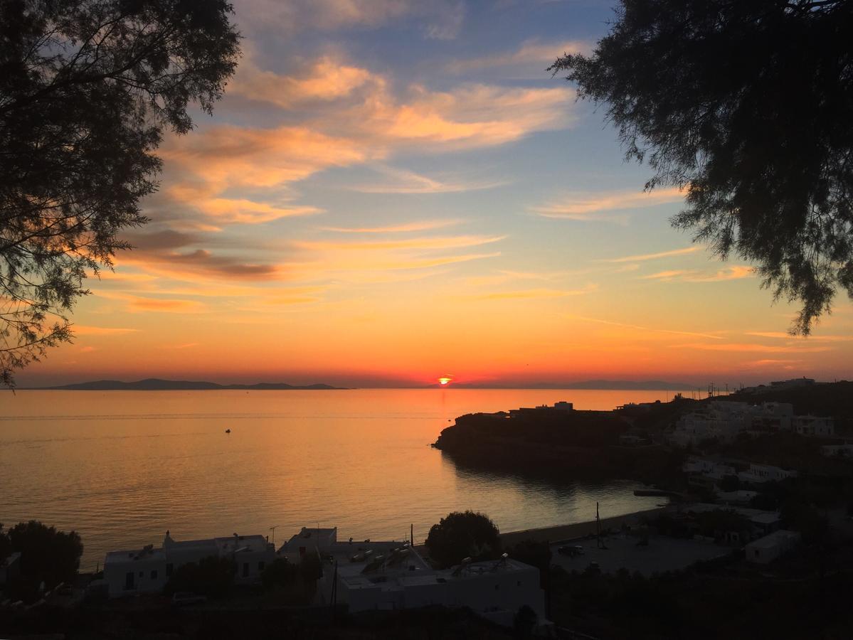 Zisis * Agios Stefanos (Mykonos)